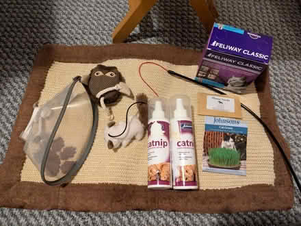 Photo of free Pet carrier + bits (Horsham) #2
