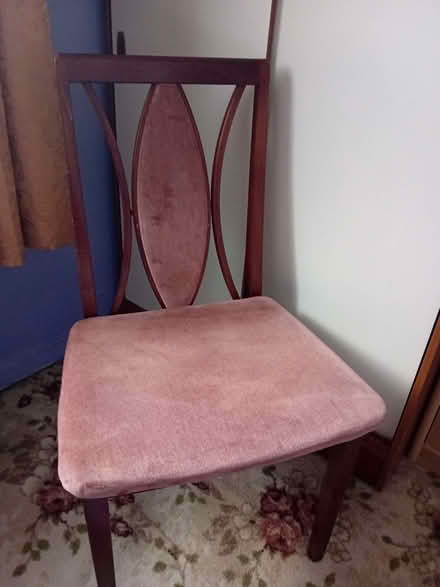 Photo of free Two dining chairs (Netteswell CM20) #4