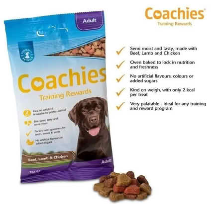 Photo of free Dog training treats (Alpington NR14) #1