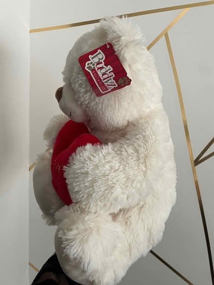 Photo of free Teddy (NE3, Kingston Park) #2