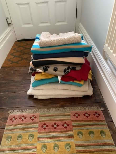 Photo of free Dog blankets and towels (GU11) #1