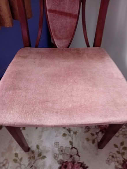 Photo of free Two dining chairs (Netteswell CM20) #3