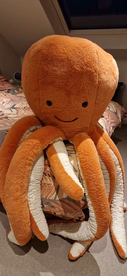 Photo of free Giant Plush Octopus (North Hinksey OX2) #1