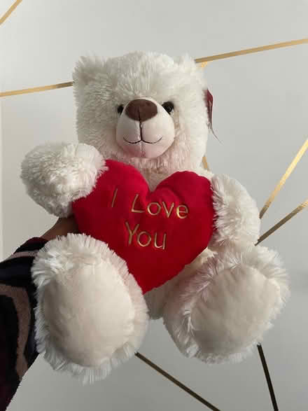 Photo of free Teddy (NE3, Kingston Park) #1