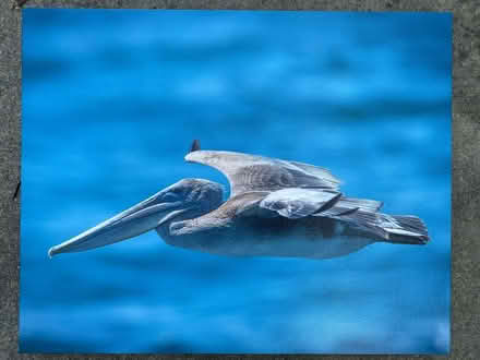 Photo of free 16”x20” photos on canvas (219 Orchard Glen Court) #3