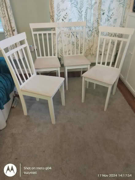 Photo of free Set of 4 dining chairs (Westhampnett PO18) #1