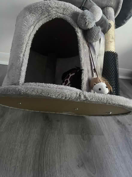 Photo of free Cat tower (W13) #3