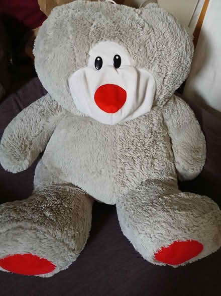 Photo of free Large Cute Teddy (Southall Green) #1