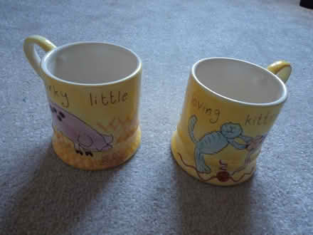 Photo of free Mugs (Chichester Graylingwell PO19) #1