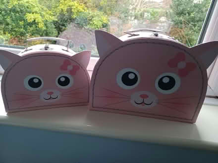 Photo of free Carry cases (Sale M33) #1