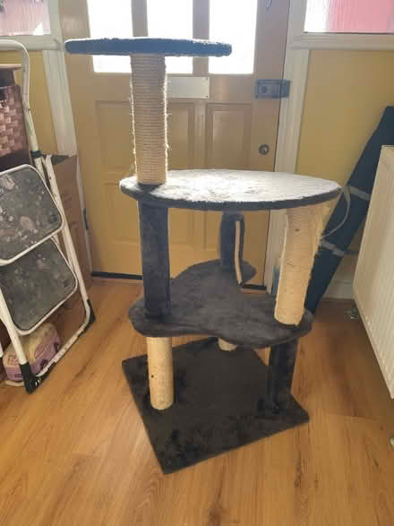 Photo of free Cat Tower (East Ham E6) #2