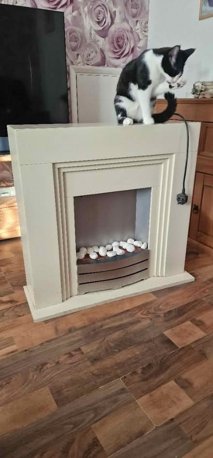 Photo of free Heater/fireplace (Romford RM6) #1