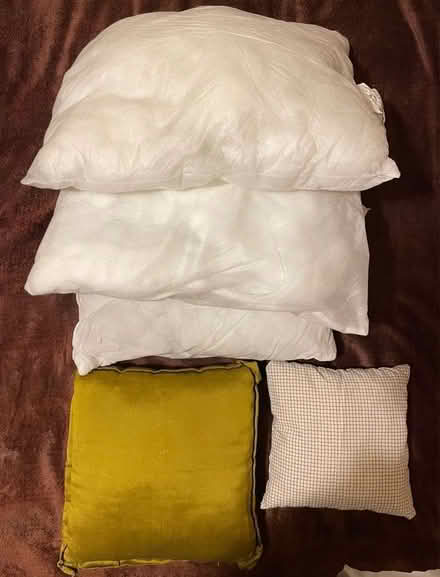 Photo of free Cushions (West Watford WD18) #1