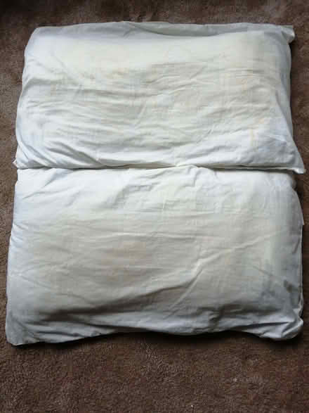 Photo of free 2 old pillows (Cowley OX4) #1
