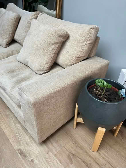 Photo of free Heals sofa (Ham KT2) #3
