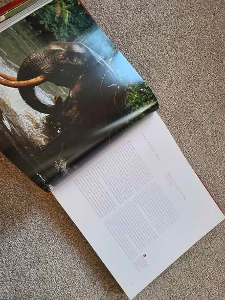 Photo of free Red List Animals book (Hither green SE13) #2