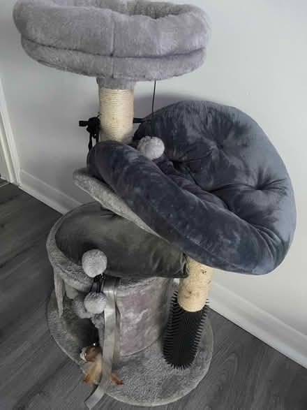 Photo of free Cat tower (W13) #2