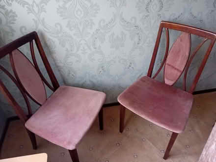 Photo of free Two dining chairs (Netteswell CM20) #1