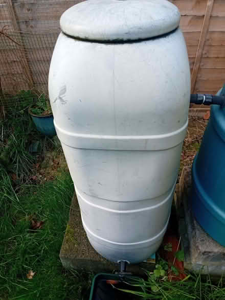 Photo of free Slim and standard size water butts (Netteswell CM20) #1