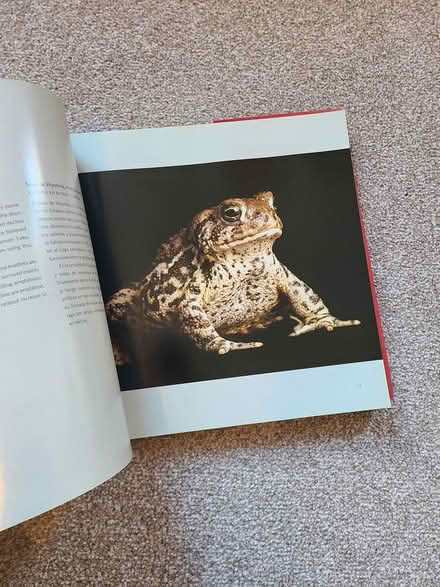 Photo of free Red List Animals book (Hither green SE13) #3