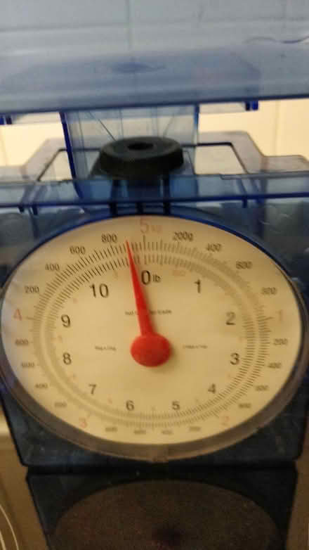 Photo of free Kitchen scale (Stockwell SW9) #2