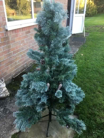 Photo of free Christmas tree (Blundeston NR32) #1