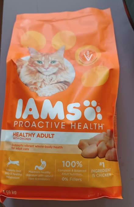 Photo of free Cat Food (Derry And Winston Churchill) #1
