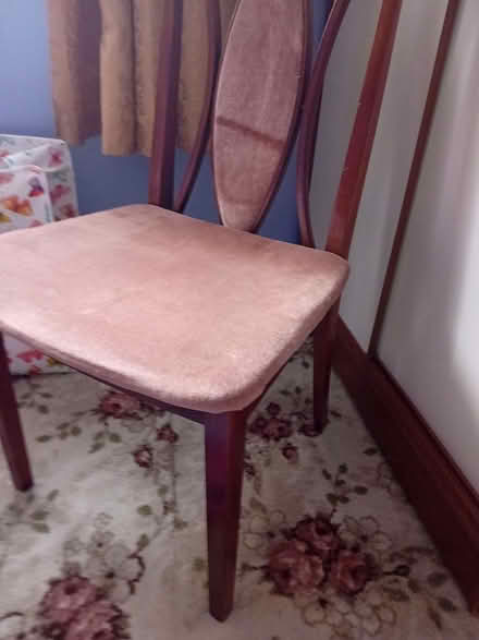 Photo of free Two dining chairs (Netteswell CM20) #2