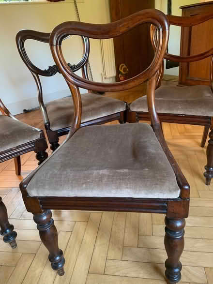 Photo of free 5antique dining chairs (BN1) #2
