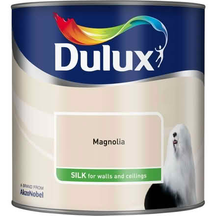 Photo of Magnolia/Off-White Paint (Hollinsend S12) #1