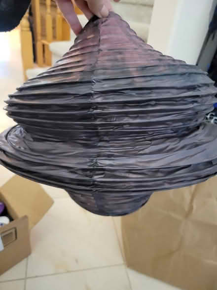 Photo of free Paper lanterns (Cupertino) #1