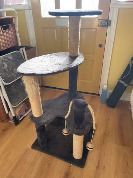 Photo of free Cat Tower (East Ham E6) #1