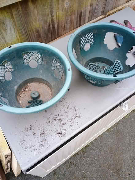 Photo of free Planters (Holmbush) #1