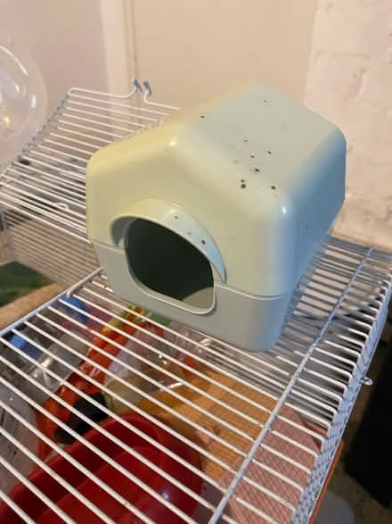 Photo of free x2 Hamster Cages with Accessories (Harborne B17) #4