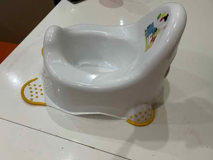 Photo of free Winnie the pooh potty (Withington M20) #2