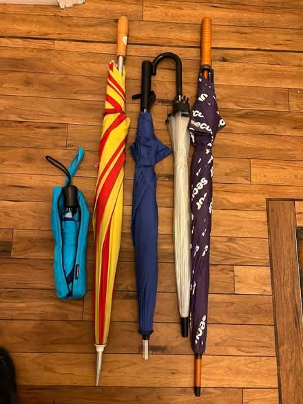 Photo of free Umbrellas to go🌂 (Chiswick W4) #1