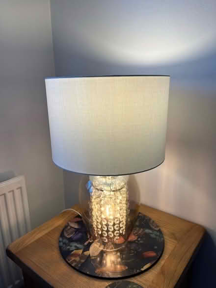 Photo of free Two light shades (NOT Lamps) (Malvern Link WR14) #1