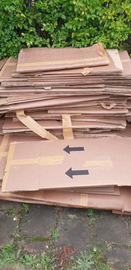 Photo of free Moving boxes (GU22) #1