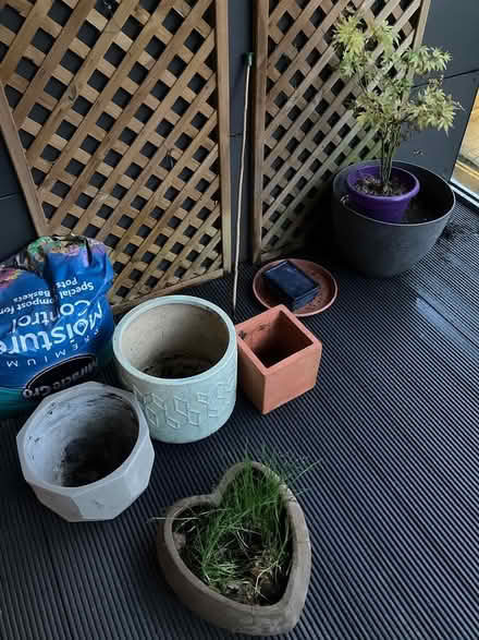 Photo of free Various plant pots (E17) #1
