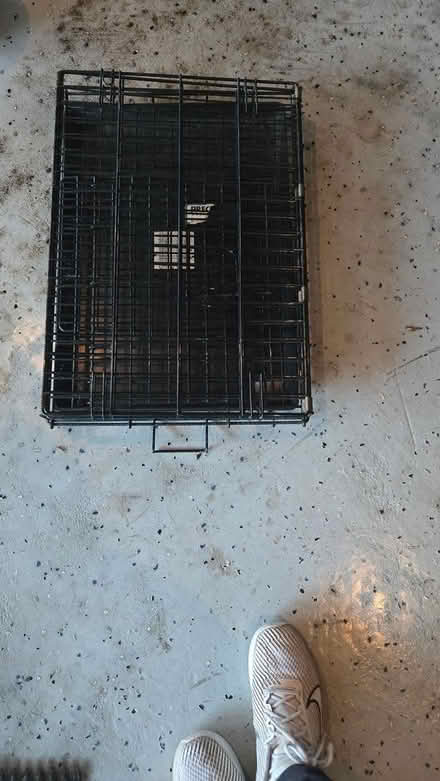 Photo of free Small dog Crate (Rockville near Shady Grove Hos) #1