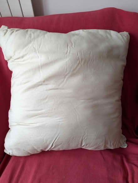 Photo of free Pillow (PO4) #1