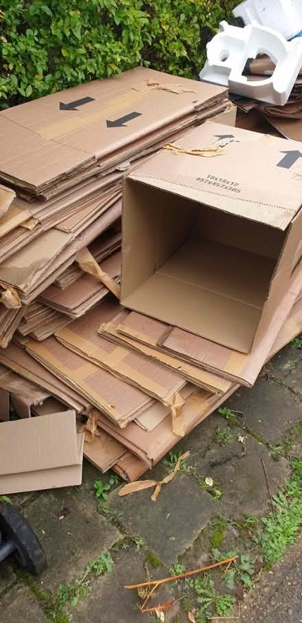 Photo of free Moving boxes (GU22) #4