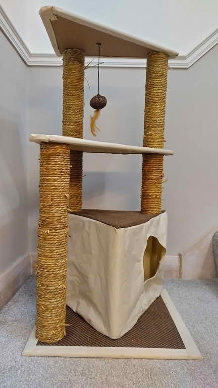 Photo of free Cat scratching post (Newbury Racecourse RG14) #2