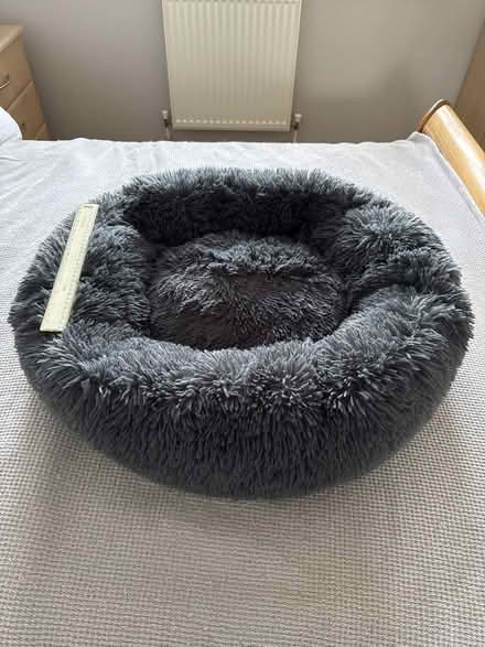 Photo of free Large pet bed (Foxholes SG13) #1