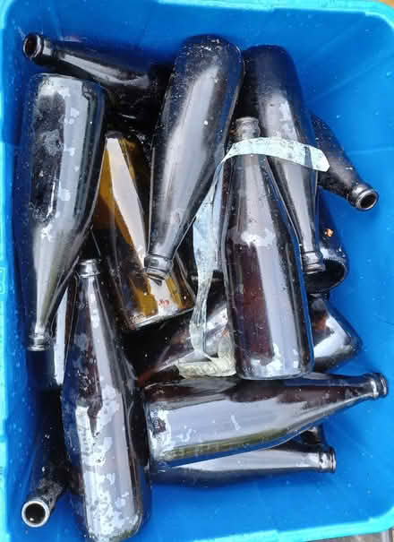 Photo of free Beer bottles and crown tops (Bramfield SG14) #1