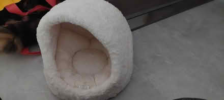 Photo of free Cat bed (Radcliffe M26) #1