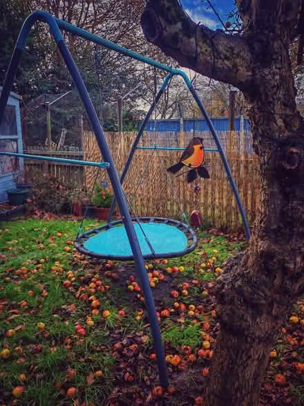 Photo of free Swing (SY2) #2