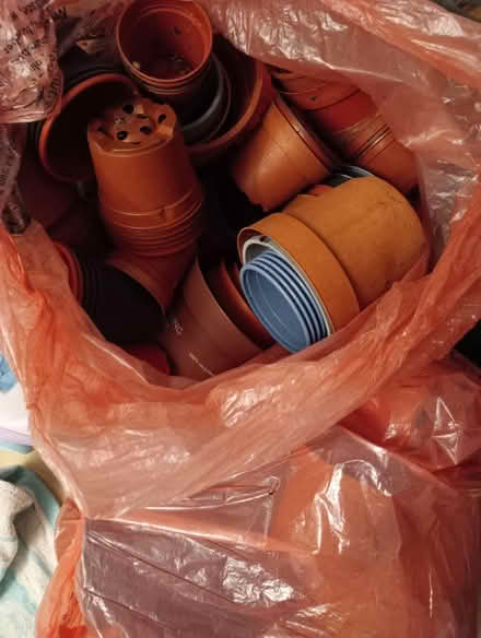 Photo of free Plastic garden pots (Laindon SS15) #1
