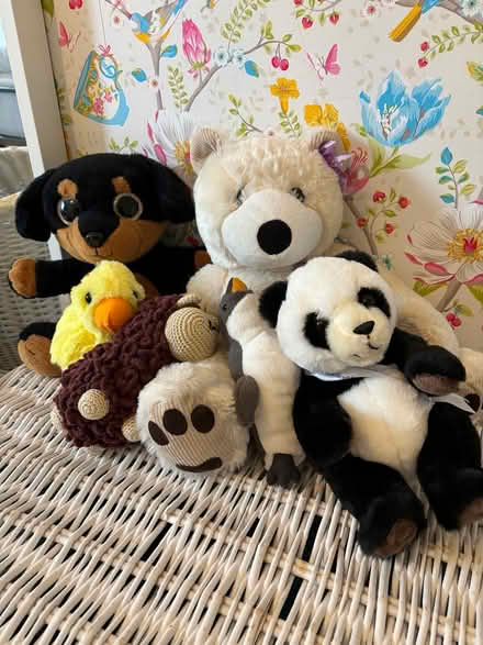 Photo of free 6 stuffed toys (W6 Hammersmith) #1