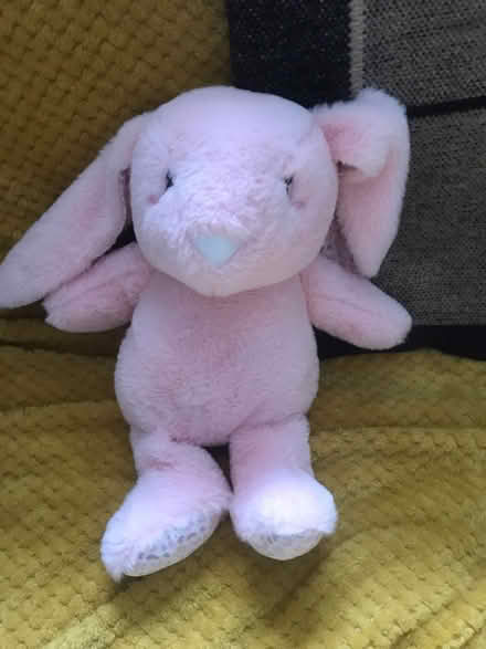 Photo of free Baby seat and pink bunny teddy (LA1 Skerton) #2